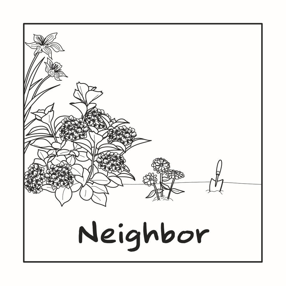 Neighbor