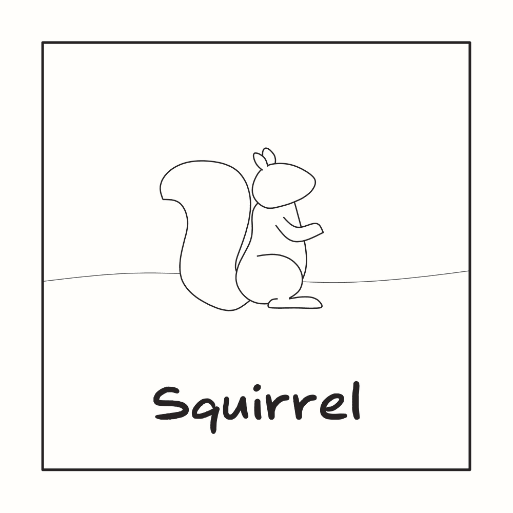 Squirrel